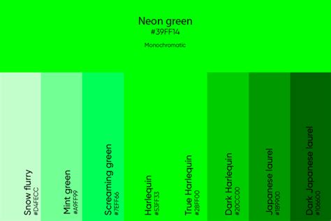 Neon Green Color Codes Meaning And Matching Colors Picsart Blog In