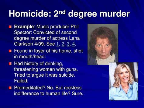 What Is Second Degree Manslaughter Sentence
