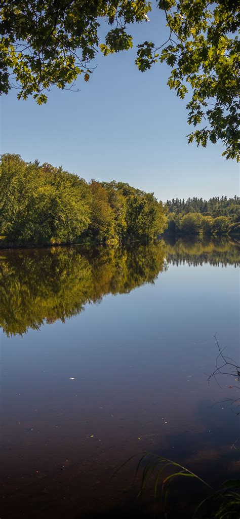Androscoggin River 4K Wallpaper, Trees, Reflection, Pleasant, Sunny day