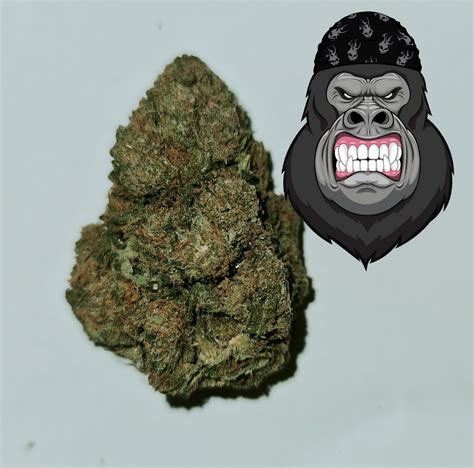 Gorilla Glue Cannabis Point
