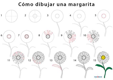 How To Draw A Daisy In Steps Dibujar Dibujo De Margarita Y Dibujo My