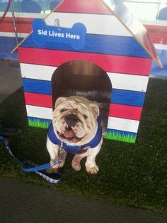 Because of its tenacity, the bulldog is a symbol of the united kingdom and is a popular mascot for professional sports teams, universities, secondary schools, military institutions, and other organizations. 190 Western Bulldogs ideas | western bulldogs, afl, footy