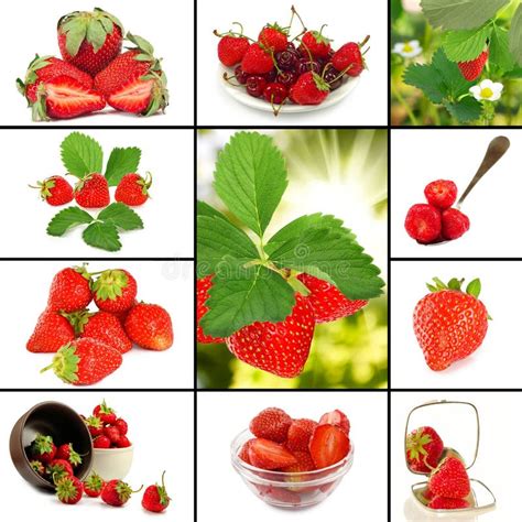 Strawberries Closeup Stock Photo Image Of Picked Closeup 16450500