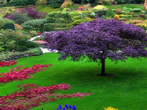 Personal Inspiration Lillirose Gardens