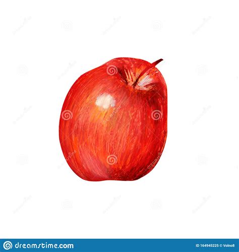 One Red Apple Isolated On A White Background Stock Illustration