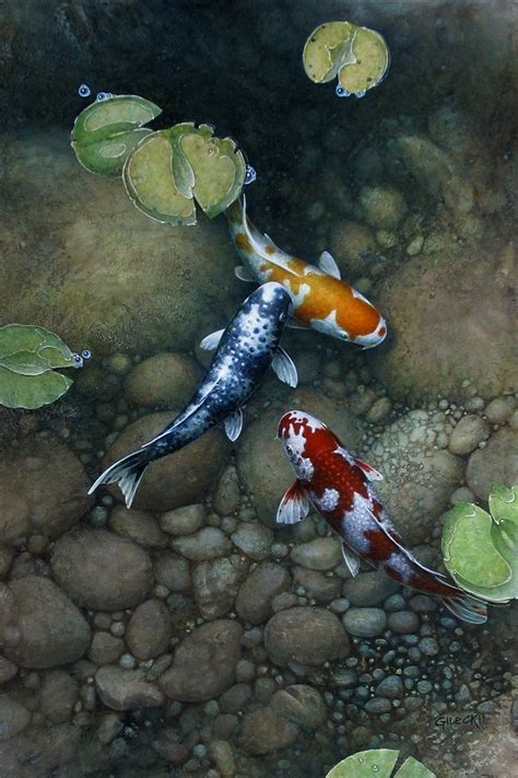 Original Koi Fish Paintings Archives Koi Fish Paintings By Terry Gilecki
