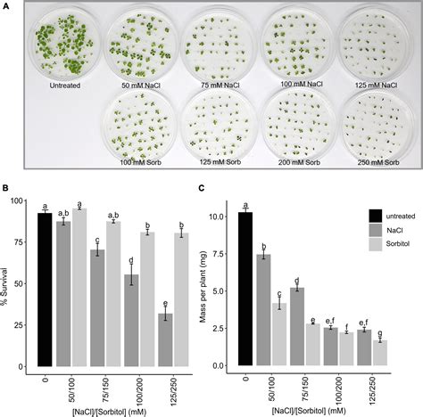 Frontiers Salt Specific Gene Expression Reveals Elevated Auxin Levels