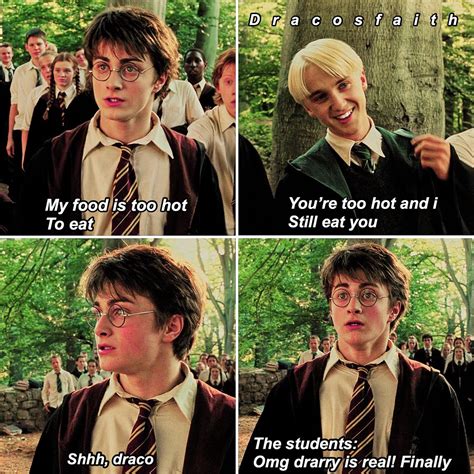 Drarry Harry Potter Memes Hilarious Gay Harry Potter Harry Potter Feels