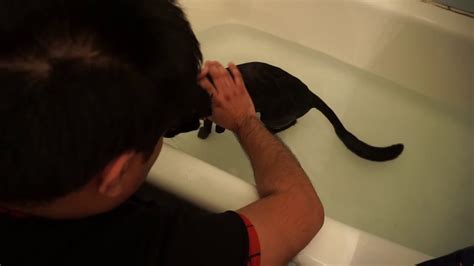 Bath Time For My Crazy Black Cat Youtube