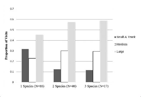Proportion Of Visits To Feeding Sites Of Different Patch Sizes By 1 2 Download Scientific