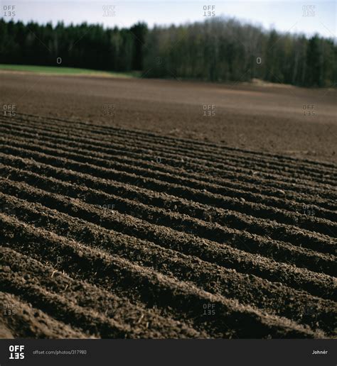 A Tilled Farm Field Offset Stock Photo Offset