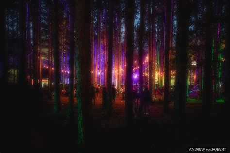 Forest Glow Electricforest