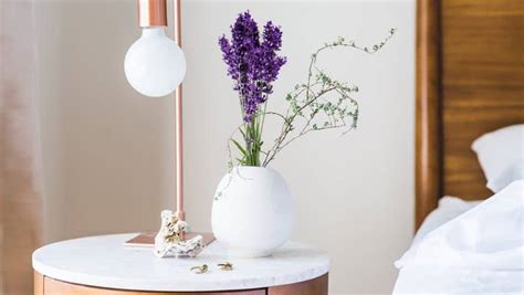 Check spelling or type a new query. Best Plants to Keep in your Bedroom for a Good Night's ...