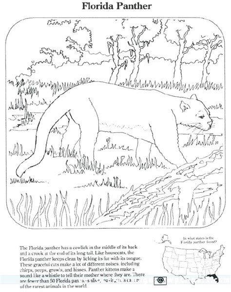 Endangered Animals Coloring Pages At Free Printable
