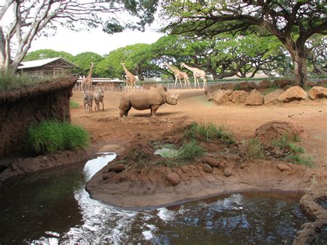 African Savanna Exhibit Zoochat