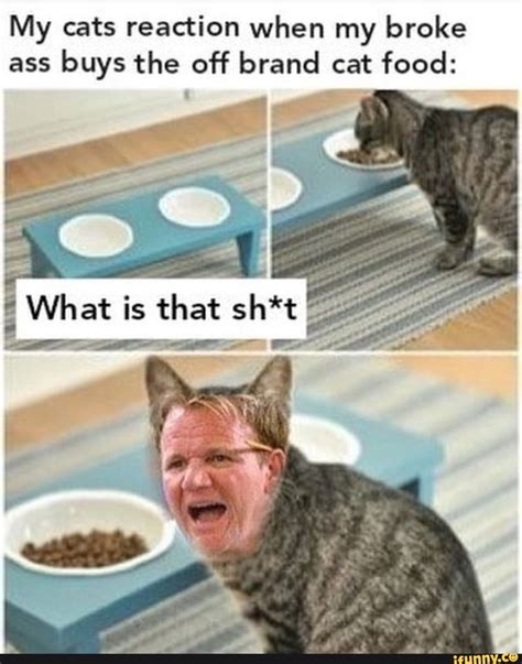Maybe you would like to learn more about one of these? Pin on Funny Gordon Ramsay memes