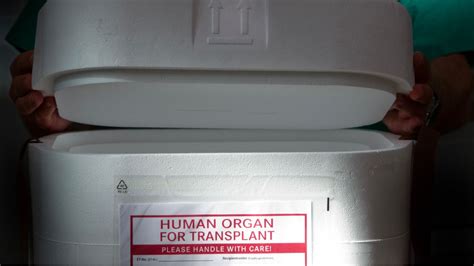 Increase In Lives Saved Since Change To Organ Donation Law Itv News Wales