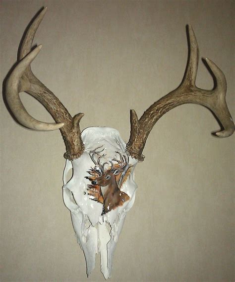 Hand Made Handpainted Deer Skulls By Custom Craft Shed