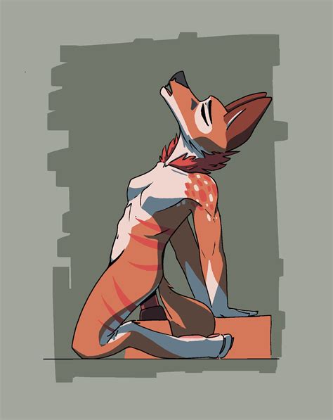 Rule 34 Ambiguous Gender Anthro Ass Breasts Canid Canine Dildo Dildo
