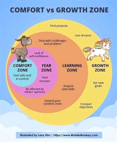 Confort Zone Vs Growth Zone Rcoolguides