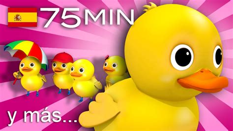 Cinco patitos Y muchas más canciones infantiles 75 min de