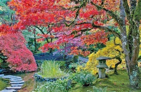 La finalidad de la recogida y tratamiento de los datos personales que te solicito es para gestionar la solicitud que realizas para subscribirte a la newsletter. Día de la Naturaleza en Japón. Midori no Hi - Japonpedia