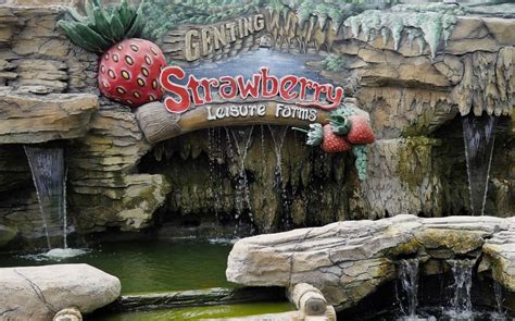 Genting highlands on kõikidele vanuseastmetele sobiv paik, kus külastajaid ootavad poed ja söögikohad. Genting Strawberry Leisure Farm, come enjoy fresh ...