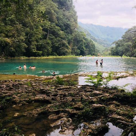 Semuc Champey Guatemala Natural Pools In The Jungle Nature