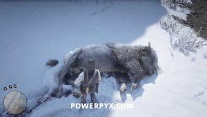 Today we take a look at the location of the skunk in red dead redemption 2, as well as the weapon needed to get a perfect pelt. Red Dead Redemption 2 Legendary Animals Locations