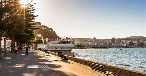 New zealand is an island country in the southwestern pacific ocean. O que fazer em Wellington, a capital da Nova Zelândia ...