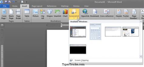 Use Ms Word 2010 To Capture And Edit Screenshots