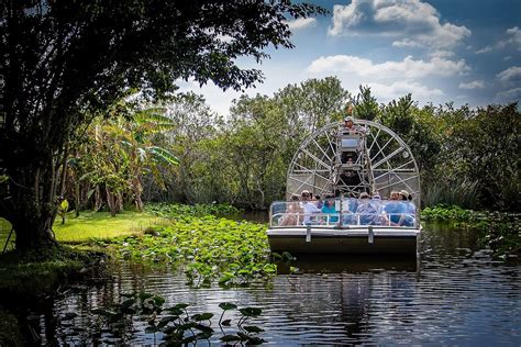 Everglades Safari Park Miami All You Need To Know Before You Go