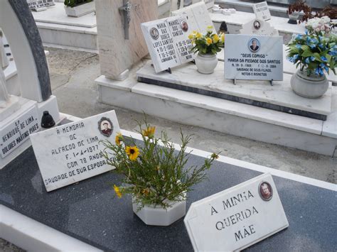 Free Images : flower, memory, cemetery, dead, death, grave, memorial