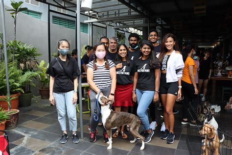 Movement Dynamics and Voice for Paws Joined For A 'Paw-sitive' Cause!