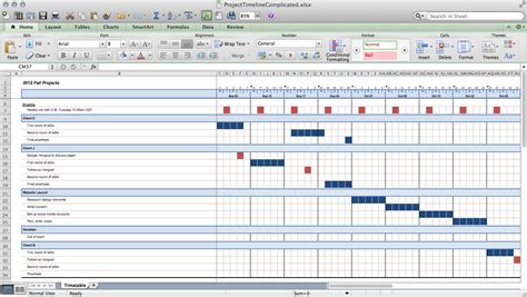 Multiple Project Timeline Template Excel