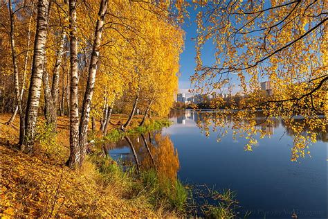 Hd Wallpaper Autumn Trees Branches Reflection River Russia Birch