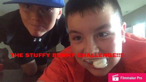 The Stuffy Bunny Challenge Youtube