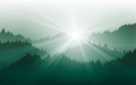 Nature Abstract Background With Foggy Pine Forest And Sunbeam 9169463