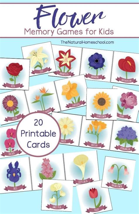 Free Flower Matching Game Printable The Natural Homeschool Flower