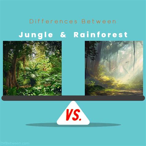 Jungle Vs Rainforest Key Differences Unveiled