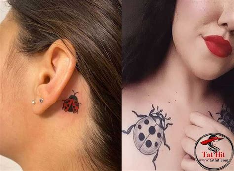 I'm willing to bet that almost everything looks cuter when shrunken down to the size of a pea. 30 Ladybug tattoo designs... in 2020 | Lady bug tattoo ...