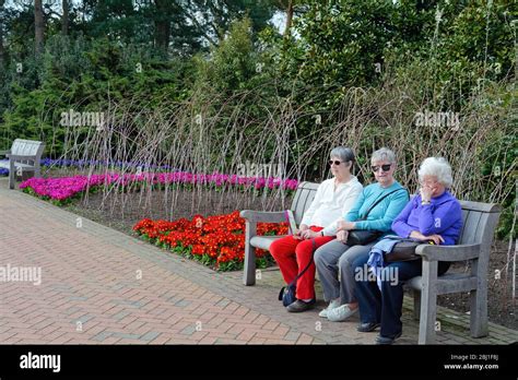 Ladies On A Bench Hi Res Stock Photography And Images Alamy