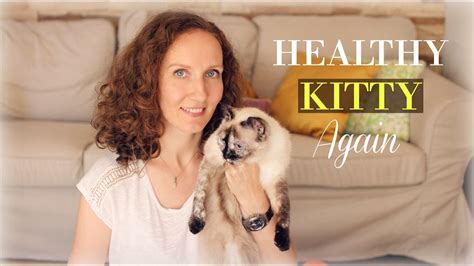 Home Remedy For Cystitis In Cats Treat UTI In Cats With Apple Cider Vinegar YouTube