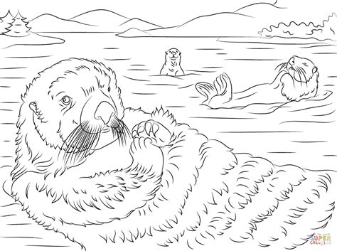 Sea Otter Coloring Sheets Coloring Pages