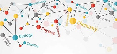 Virtual Lab: Bacterial Isolation Simulation Virtual Lab ...