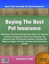 Best Pet Insurance Companies Images