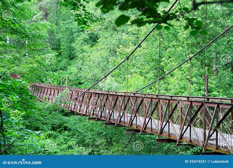 Old Bridge In Forest Stock Image Image 25474331