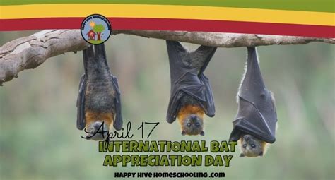 International Bat Appreciation Day Happy Hive Homeschooling