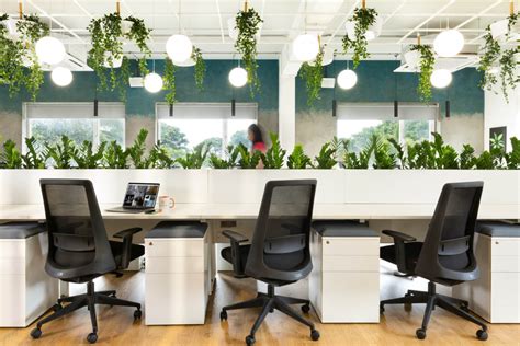 Why Invest In Greening Your Office