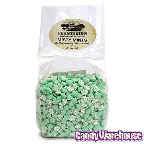 Smooth And Melty Mini Nonpareil Mint Chocolate Chips Green 16 Ounce